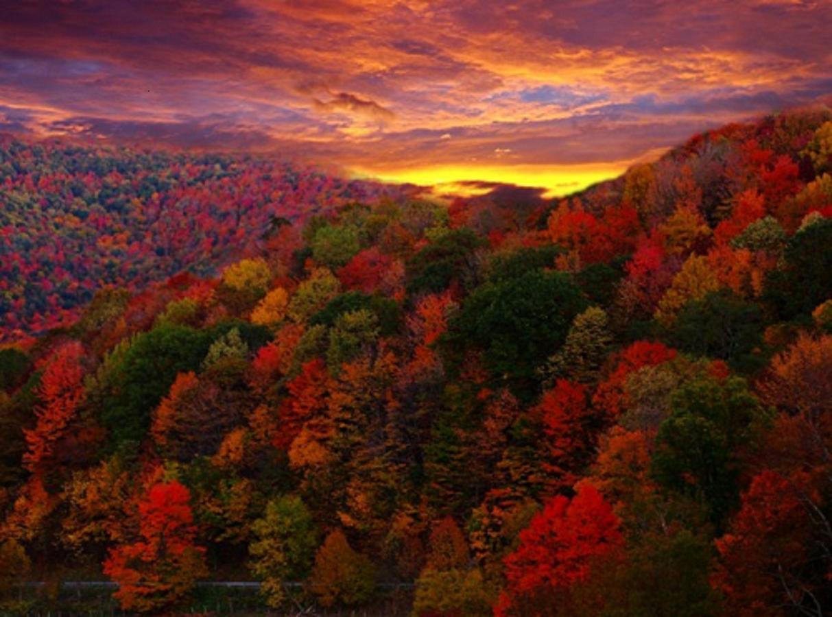 Buffalo Creek Bed And Breakfast Robbinsville Εξωτερικό φωτογραφία