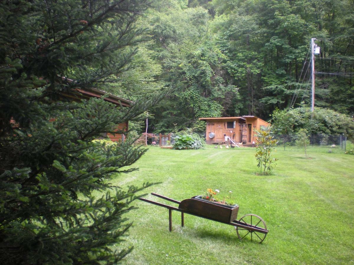 Buffalo Creek Bed And Breakfast Robbinsville Εξωτερικό φωτογραφία